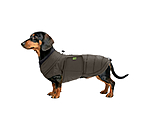 Dachshund Winter Coat Henry, 200g