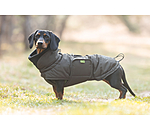 Dachshund Winter Coat Henry, 200g