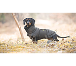 Dachshund Winter Coat Henry, 200g