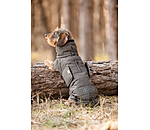 Dachshund Winter Coat Henry, 200g