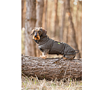 Dachshund Winter Coat Henry, 200g