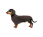 Dachshund Fleece Jumper Edward