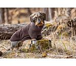 Dachshund Fleece Jumper Edward