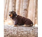 Dachshund Fleece Jumper Edward