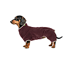 Dachshund Bathrobe Theo