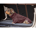Dachshund Bathrobe Theo