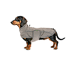 Dachshund Raincoat Winston