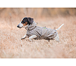 Dachshund Raincoat Winston