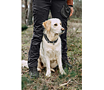 Functional Outdoor Trousers Northpine