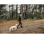 2-in-1 Functional Softshell Jacket Stonepeak
