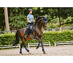 Functional Boots Swiss Design, Front Legs