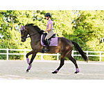 Fetlock Boots Sophistication