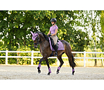 Fetlock Boots Sophistication