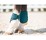 Fetlock Boots Sophistication
