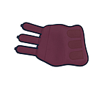 Dressage Boots Twotone, Front Legs