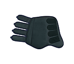 Dressage Boots Twotone, Hind Legs