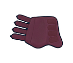 Dressage Boots Twotone, Hind Legs