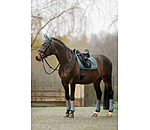Boots Glitter Stone, Front Legs
