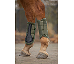 Teddy Boots, Hind Legs