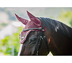 Fly Veil Swiss Design