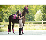 Fly Veil Mesh Technology