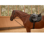 Draw Reins