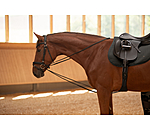 Draw Reins