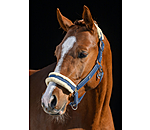 Headcollar Hope