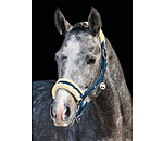 Headcollar Hope