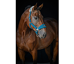 Teddy Fleece Headcollar Equestrian Sports