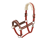 Headcollar Swiss Design