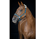 Headcollar Swiss Design