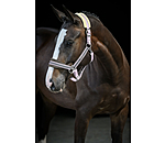 Headcollar Swiss Design