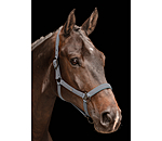 Headcollar Astro