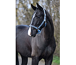 Headcollar Brilliant