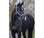 Headcollar Brilliant