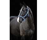 Headcollar Brilliant