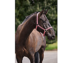 Headcollar Brilliant