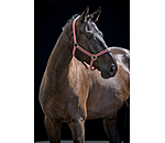 Headcollar Brilliant