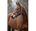 Headcollar Brilliant
