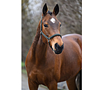Headcollar Brilliant