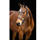 Headcollar Brilliant