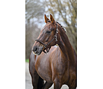 Headcollar Brilliant
