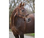 Headcollar Brilliant