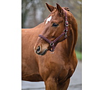 Headcollar Brilliant