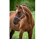 Headcollar Brilliant