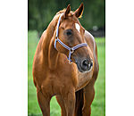 Headcollar Brilliant