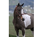 Headcollar Brilliant