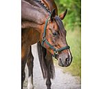 Headcollar Brilliant