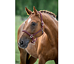 Headcollar Brilliant